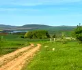 Снимка 5 — Парцел в Ямбол, с. Малко Шарково