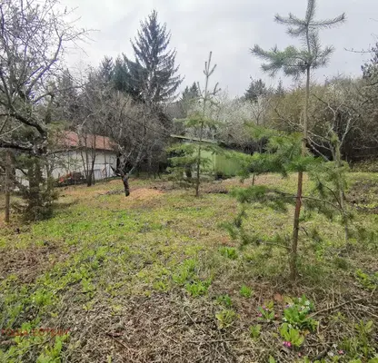 Photo 4 — Plot in Pancharevo