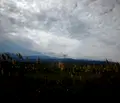 Снимка 3 — Парцел в Пловдив, с. Златитрап