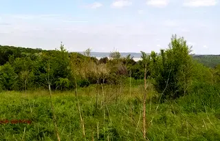 Парцел в с. Звездица