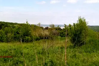 Парцел в с. Звездица