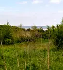 Парцел в с. Звездица