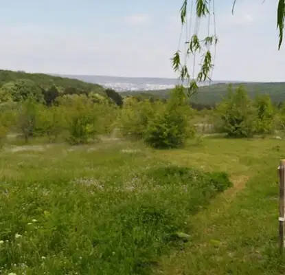 Photo 3 — Plot in Zvezdica