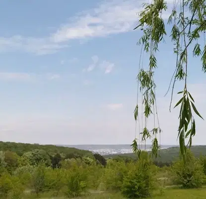 Photo 4 — Plot in Zvezdica