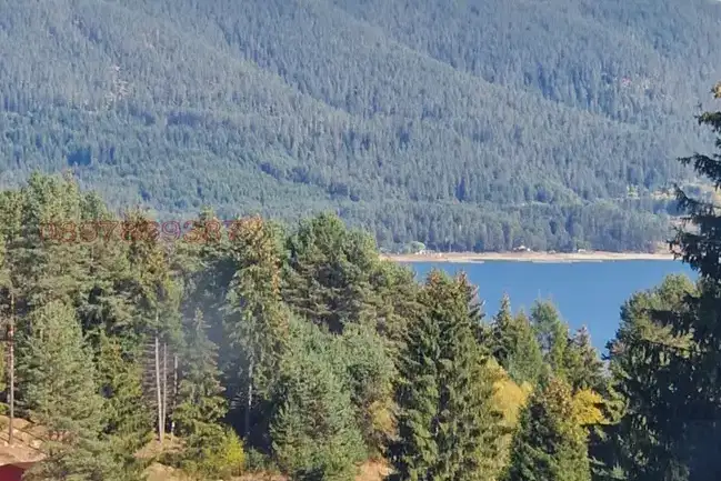 Парцел в Пазарджик, Сърница
