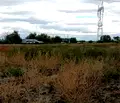 Снимка 4 — Земеделски имот в Пловдив, Пловдив