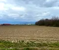 Снимка 4 — Земеделски имот в Пловдив, с. Оризари