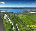 Снимка 5 — Земеделски имот във Варна, с. Тополи