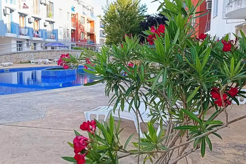 Three-room apartment with two bedrooms in Sunny Beach