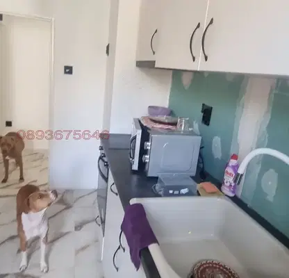 Photo 2 — 3-bedroom apartment in Plovdiv, Kyrshiyaka