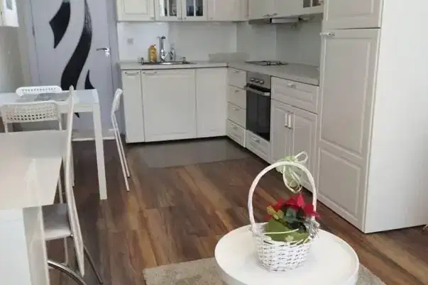2-bedroom apartment in Sofia, Belite Brezi