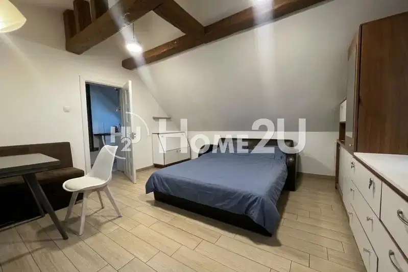 1-bedroom apartment in Sofia, Centyr