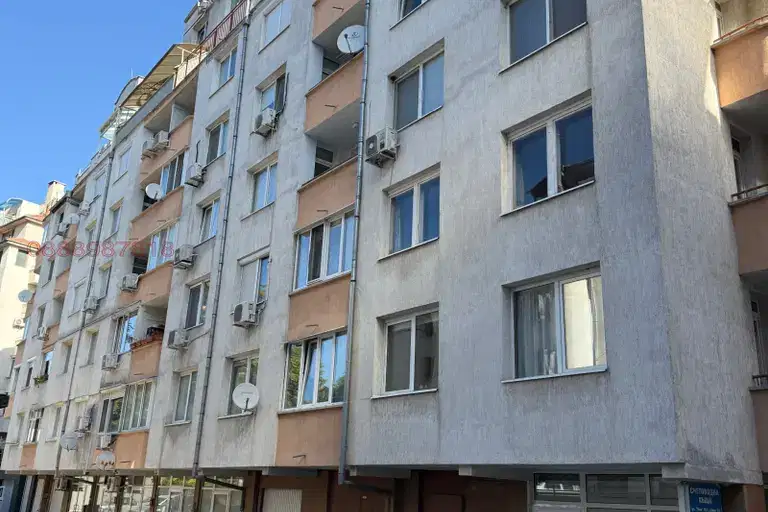 Двустаен апартамент в София, Дървеница