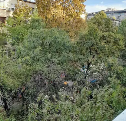 Photo 2 — 3-bedroom apartment in Sofia, Geo Milev