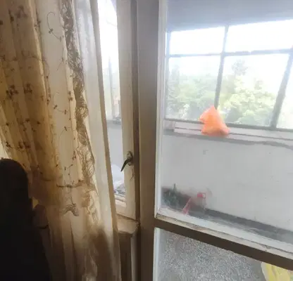 Photo 4 — 3-room apartment in Center, Stara Zagora, brick