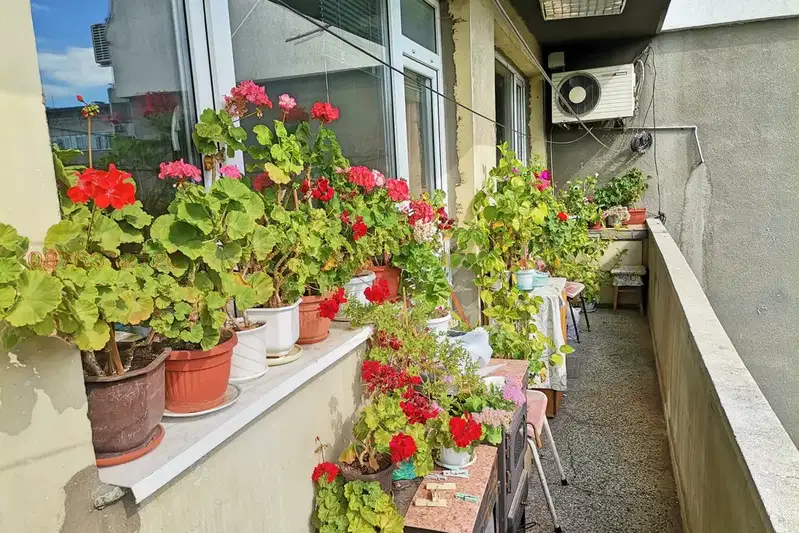 4-bedroom apartment in Varna, Centyr