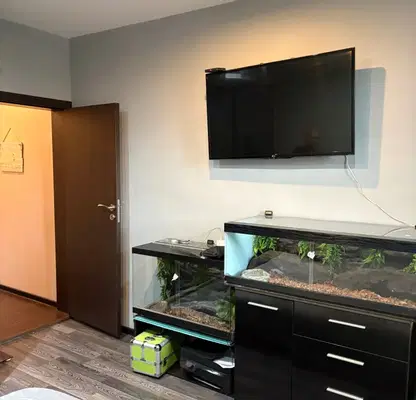 Photo 5 — Two-room apartment with kitchenette in Dabnika, Vratsa