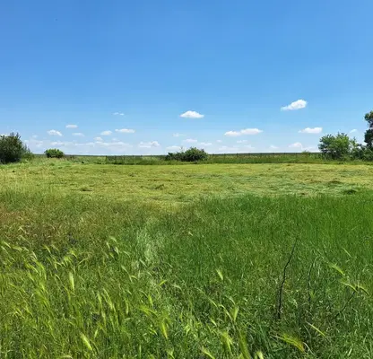 Снимка 2 — Парцел в Ямбол, Болярово