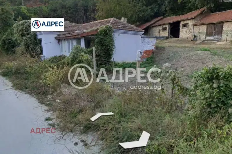 Plot in Zlatni Pyasyci