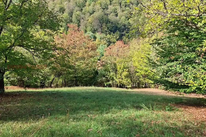 Парцел в Габрово, Плачковци
