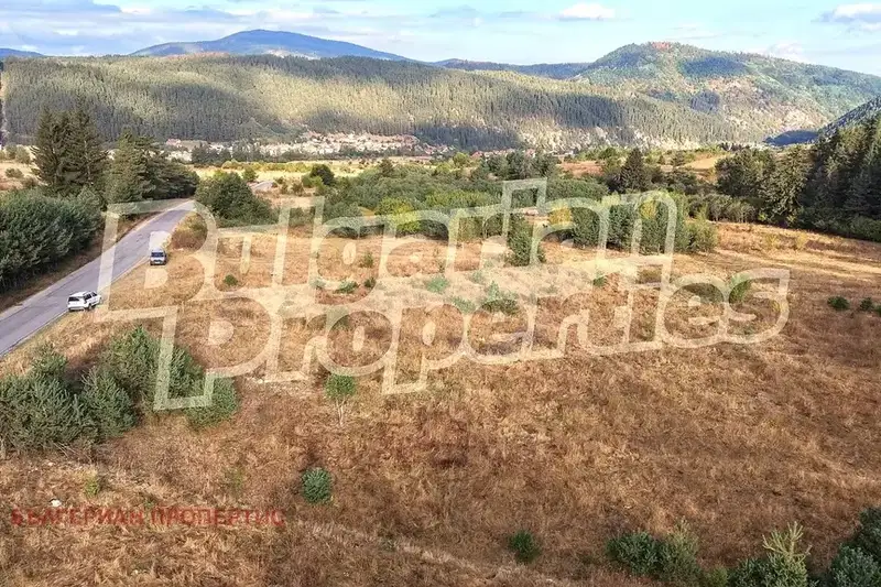 Plot in Sofia, Beli Iskyr