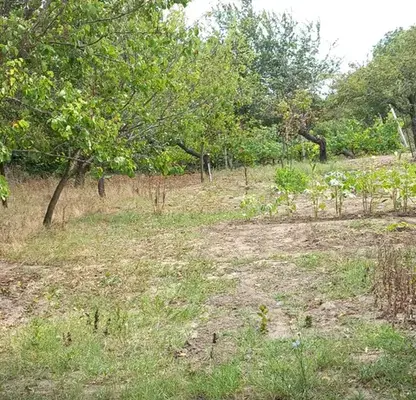 Photo 3 — Plot in Varna, Bolyarci