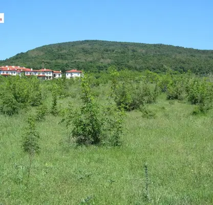 Photo 2 — Plot in Burgas, Kosharica