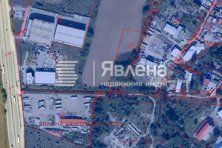 Plot in Krivina