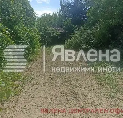 Снимка 3 — Парцел в Пазарджик, с. Мало Конаре