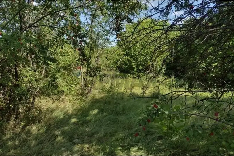 Plot in Shumen, Mirovci