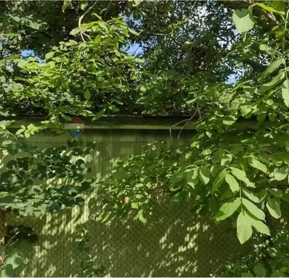Photo 3 — Plot in Shumen, Mirovci