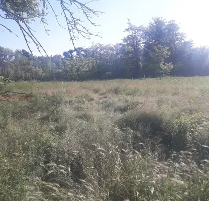 Photo 2 — Plot in Varna, Mlada Gvardiya