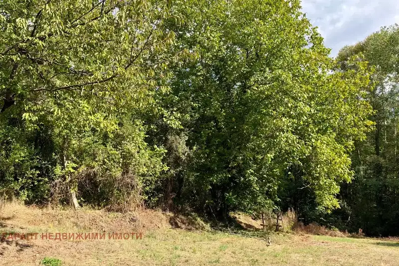Plot in Gabrovo, Mrahori