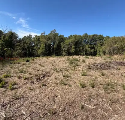 Photo 5 — Plot in Sofia, Paunovo