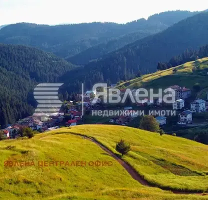 Снимка 3 — Парцел в Смолян, с. Проглед