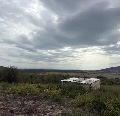 Photo 2 — Plot in Dobrich, Rogachevo