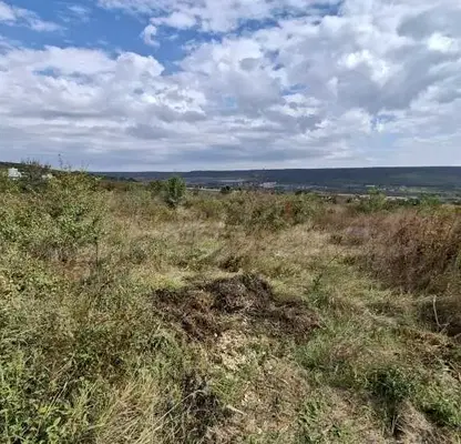 Снимка 2 — Парцел в Добрич, с. Рогачево
