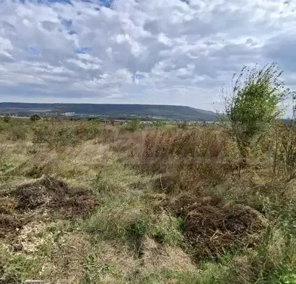 Снимка 3 — Парцел в Добрич, с. Рогачево