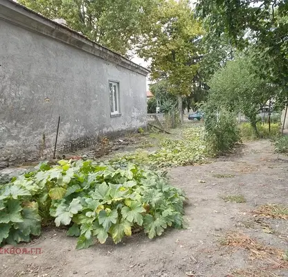 Снимка 5 — Парцел в Добрич, с. Стефаново