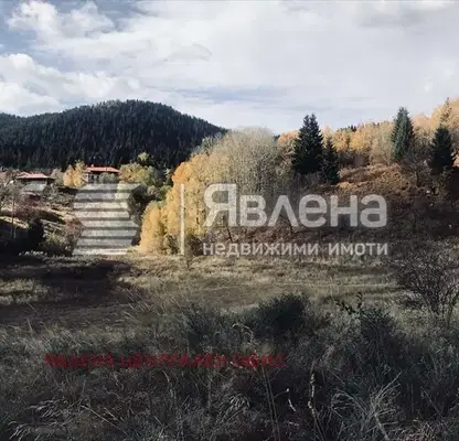 Photo 3 — Plot in Smolyan, Smolyan