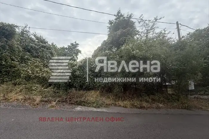 Plot in Sofia, Seslavci