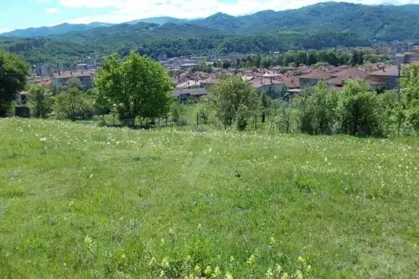 Plot in Lovech, Troyan