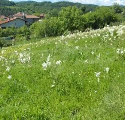 Photo 2 — Plot in Lovech, Troyan