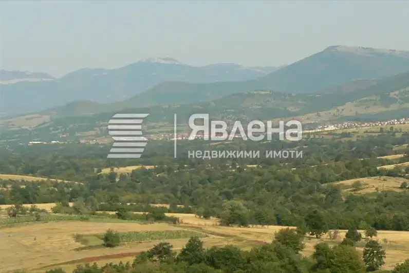 Plot in Montana, Vyrshec