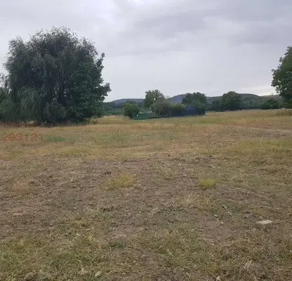 Photo 3 — Meadow in Plovdiv, Banya