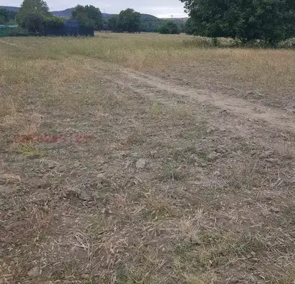 Photo 4 — Meadow in Plovdiv, Banya