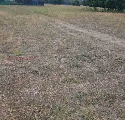 Photo 5 — Meadow in Plovdiv, Banya