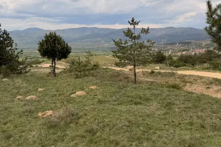 Arable Land in Kyustendil, Gorna Koznica