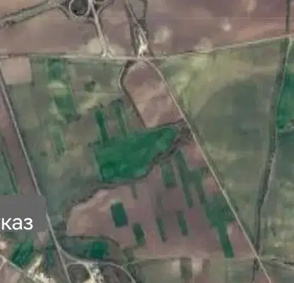 Снимка 3 — Нива във Варна, с. Кипра