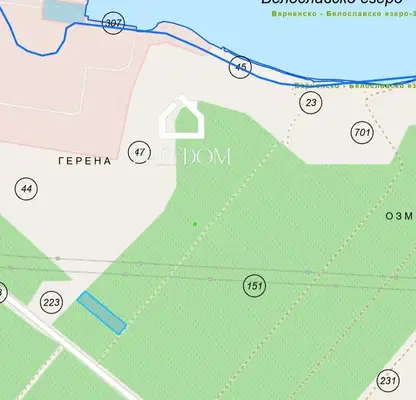 Снимка 3 — Лозе във Варна, с. Константиново